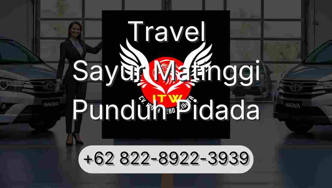 Travel Sayur Matinggi Punduh Pidada