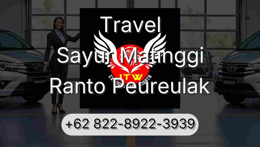 Travel Sayur Matinggi Ranto Peureulak