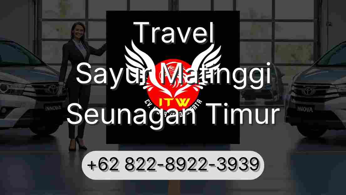 Travel Sayur Matinggi Seunagan Timur