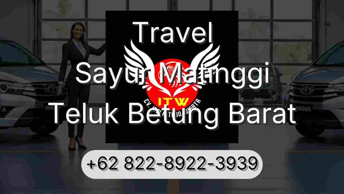 Travel Sayur Matinggi Teluk Betung Barat