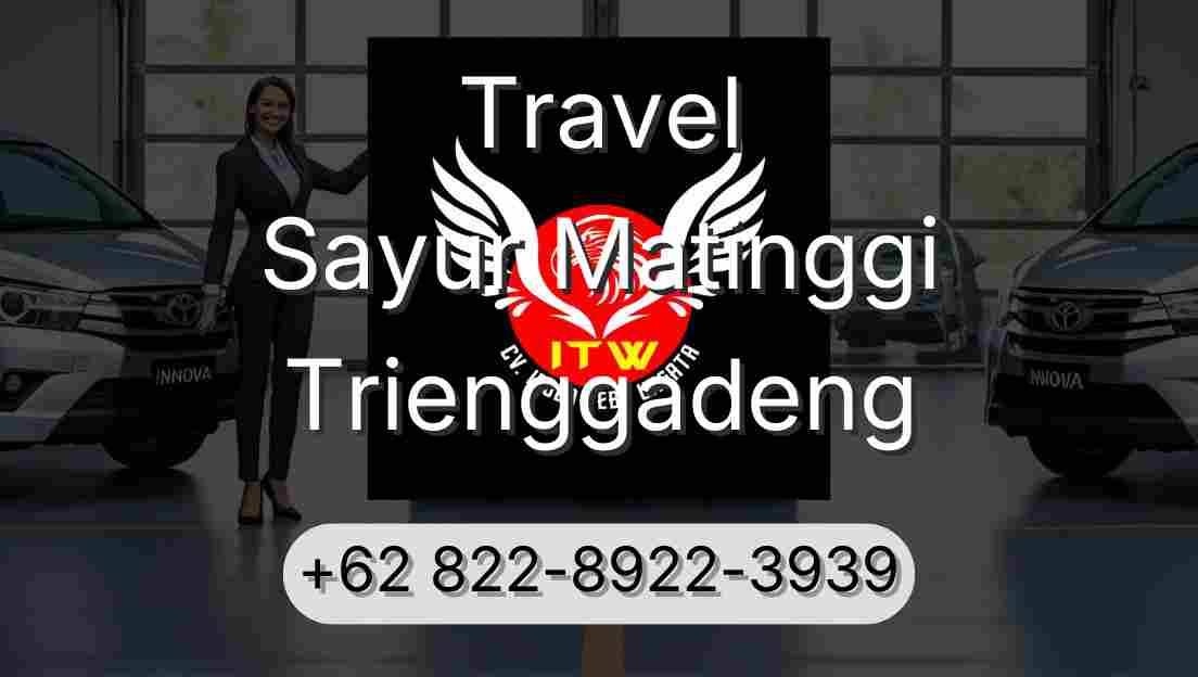 Travel Sayur Matinggi Trienggadeng