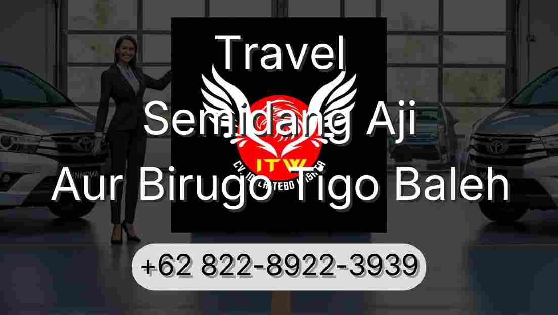 Travel Semidang Aji Aur Birugo Tigo Baleh