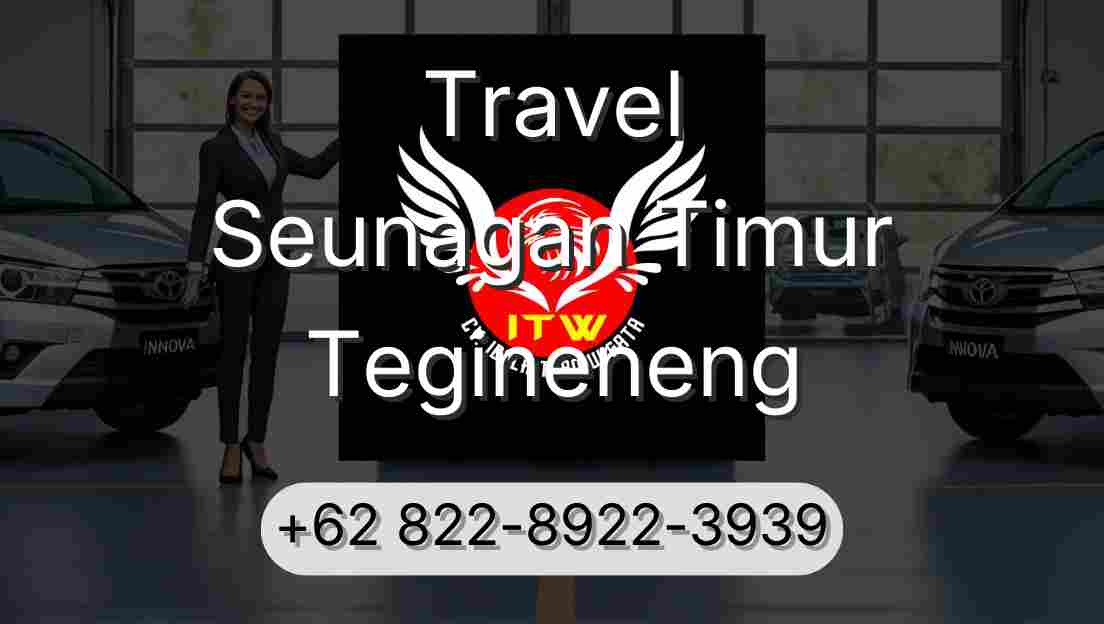 Travel Seunagan Timur Tegineneng