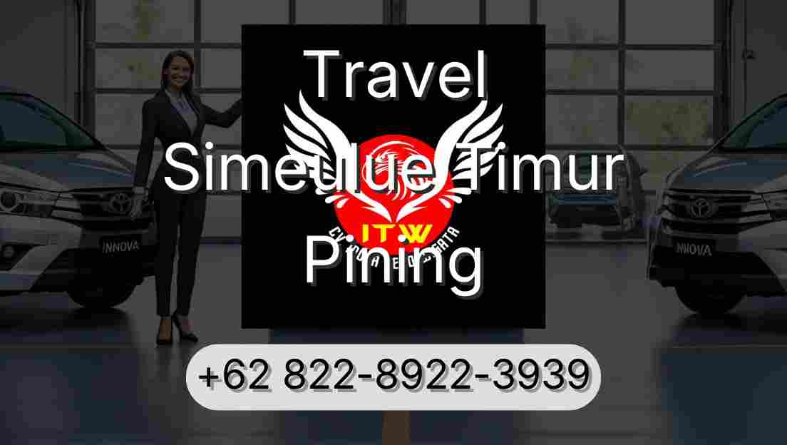 Travel Simeulue Timur Pining