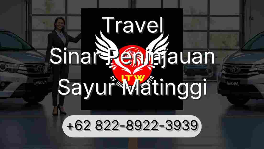 Travel Sinar Peninjauan Sayur Matinggi