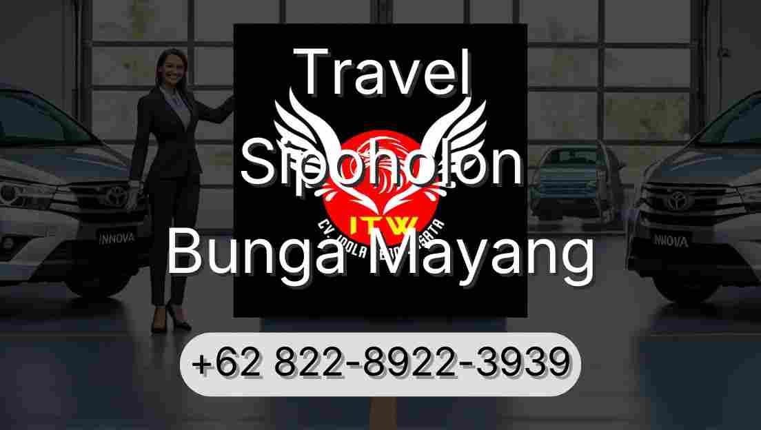 Travel Sipoholon Bunga Mayang
