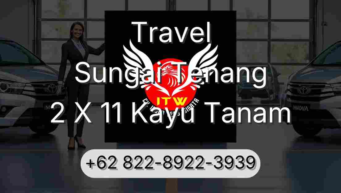 Travel Sungai Tenang 2 X 11 Kayu Tanam