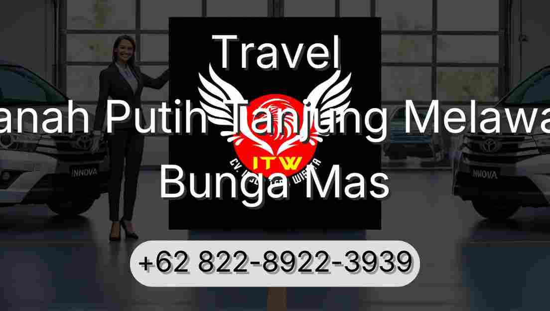 Travel Tanah Putih Tanjung Melawan Bunga Mas