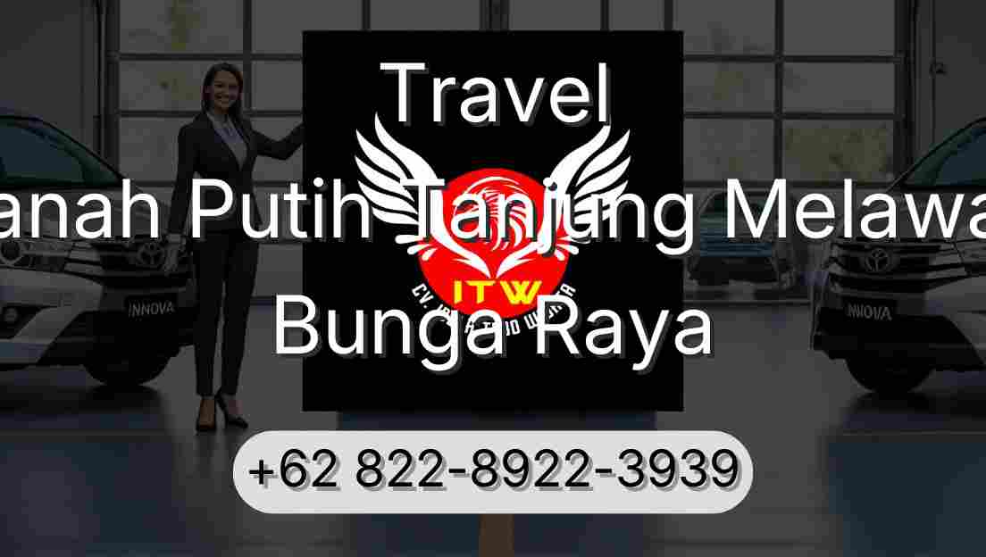 Travel Tanah Putih Tanjung Melawan Bunga Raya