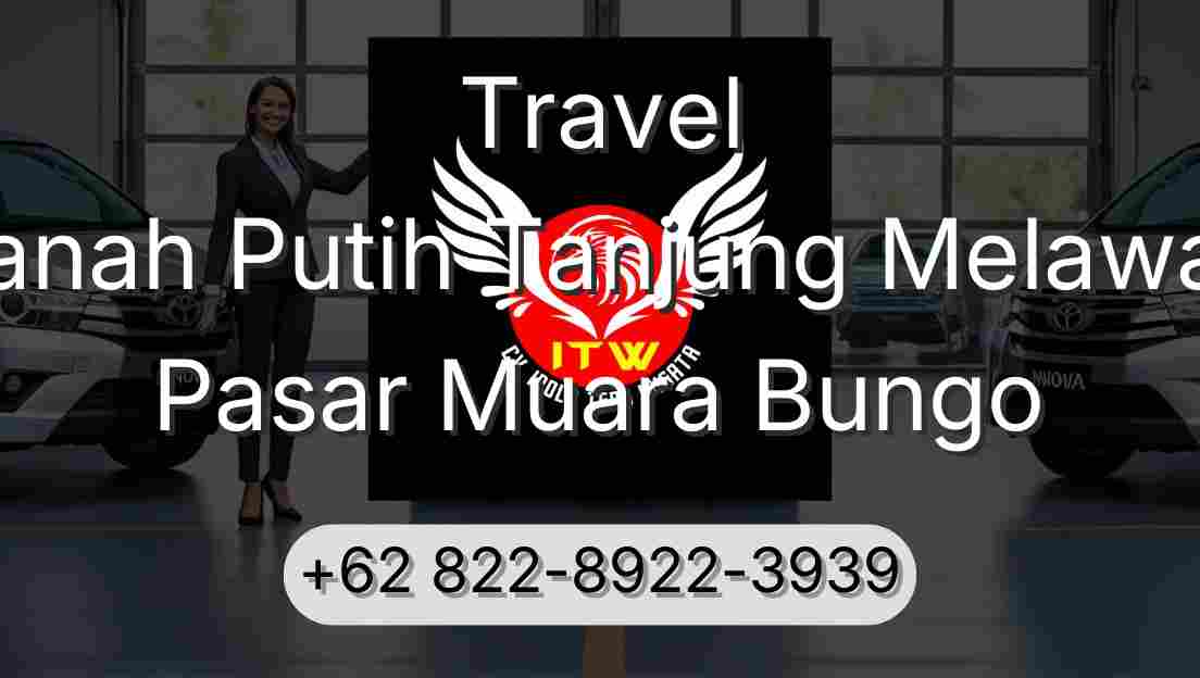 Travel Tanah Putih Tanjung Melawan Pasar Muara Bungo