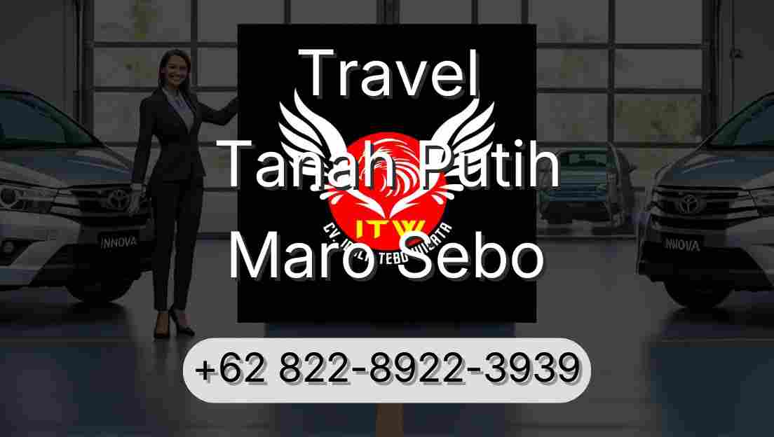 Travel Tanah Putih Maro Sebo