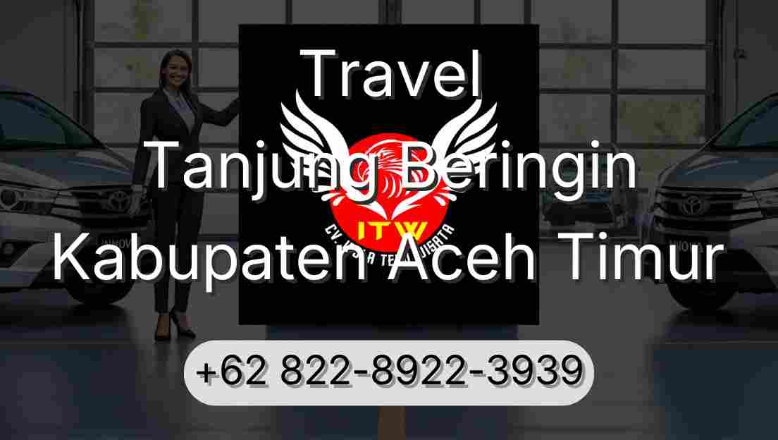 Travel Tanjung Beringin Kabupaten Aceh Timur