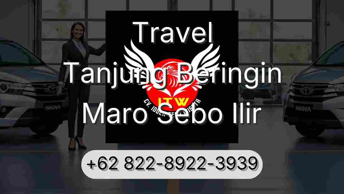 Travel Tanjung Beringin Maro Sebo Ilir