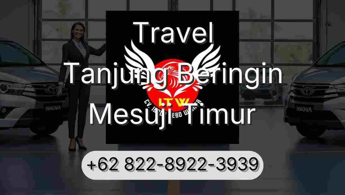 Travel Tanjung Beringin Mesuji Timur