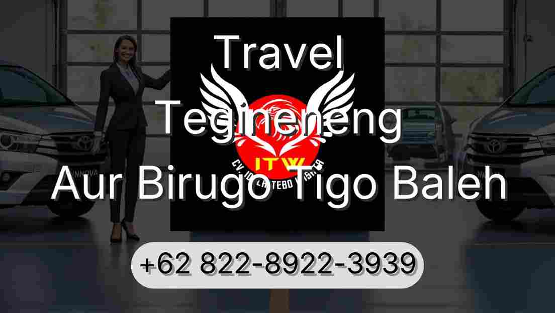 Travel Tegineneng Aur Birugo Tigo Baleh