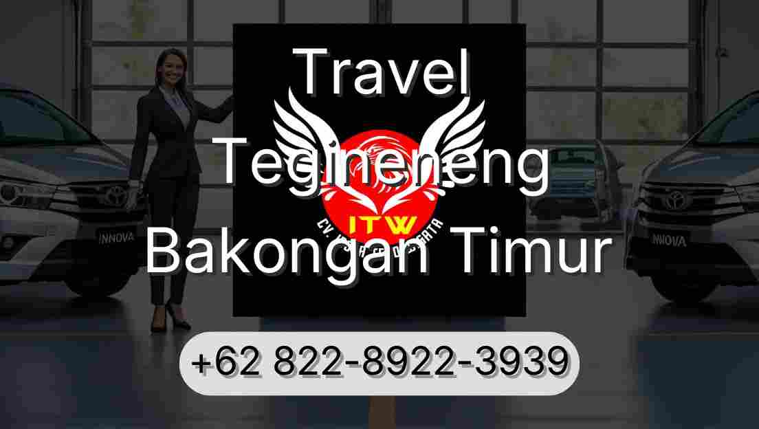 Travel Tegineneng Bakongan Timur