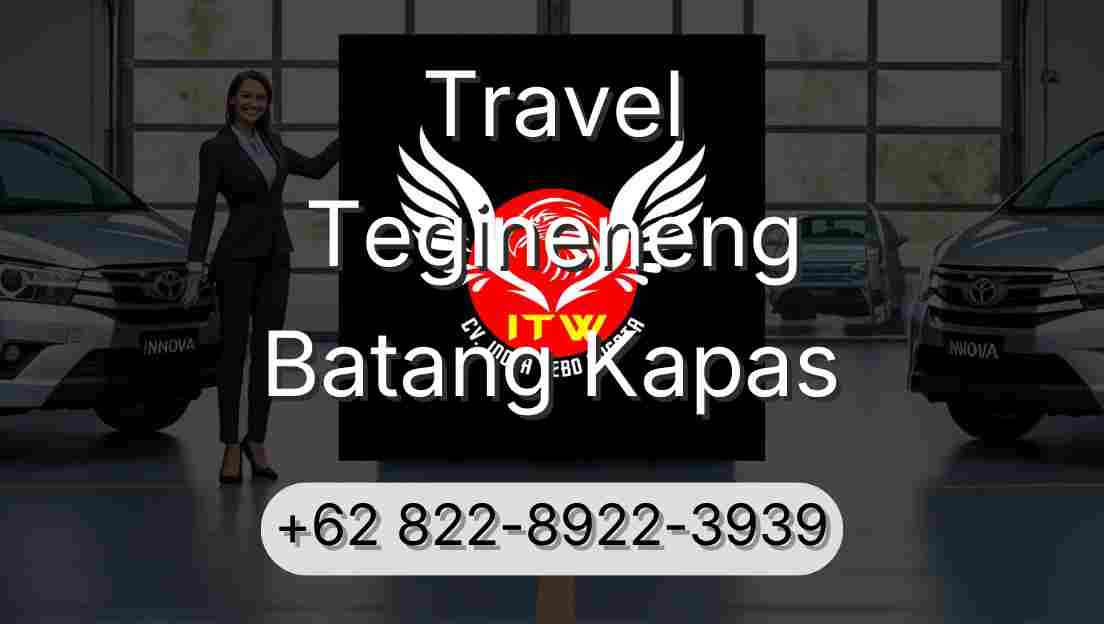 Travel Tegineneng Batang Kapas