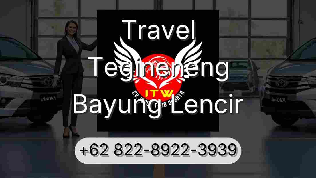 Travel Tegineneng Bayung Lencir