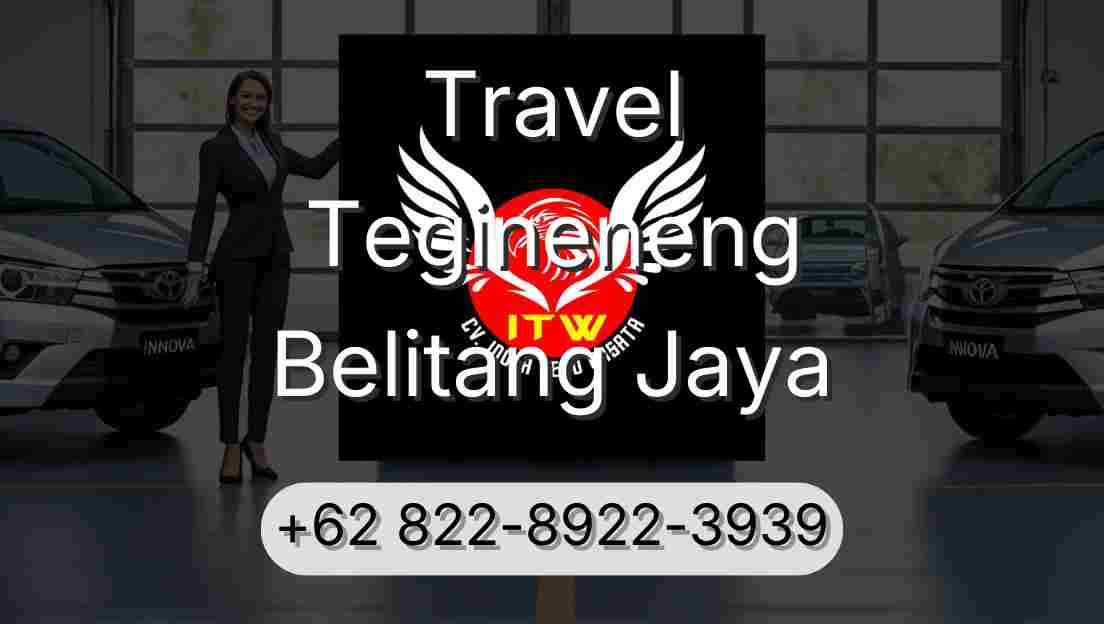 Travel Tegineneng Belitang Jaya
