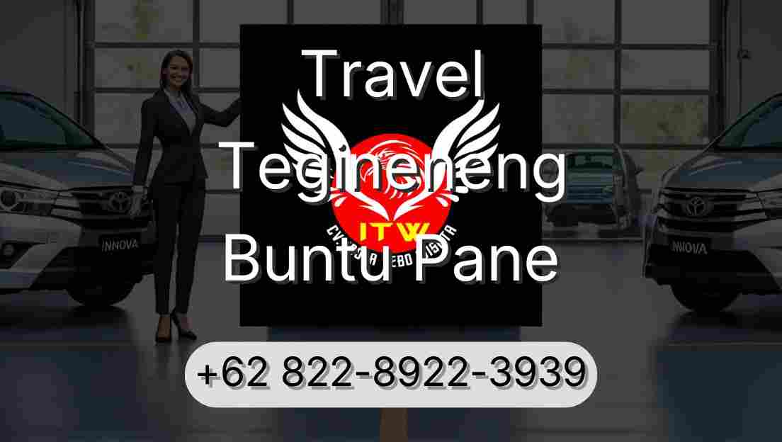 Travel Tegineneng Buntu Pane