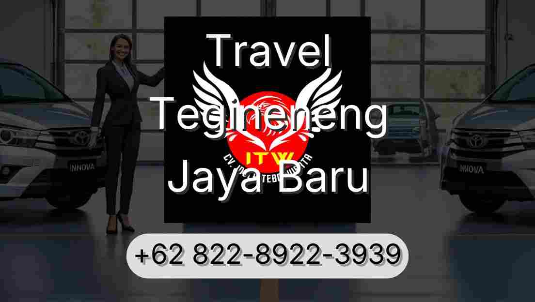 Travel Tegineneng Jaya Baru
