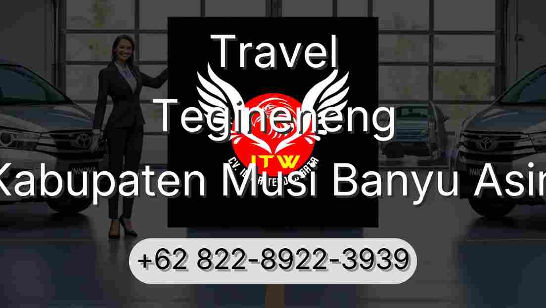 Travel Tegineneng Kabupaten Musi Banyu Asin