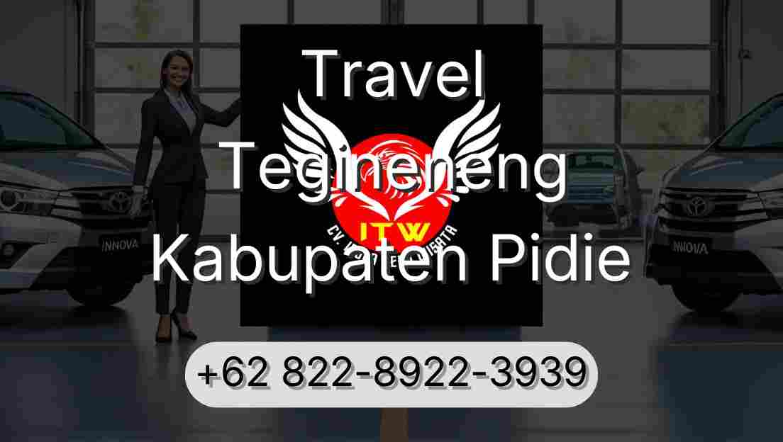 Travel Tegineneng Kabupaten Pidie