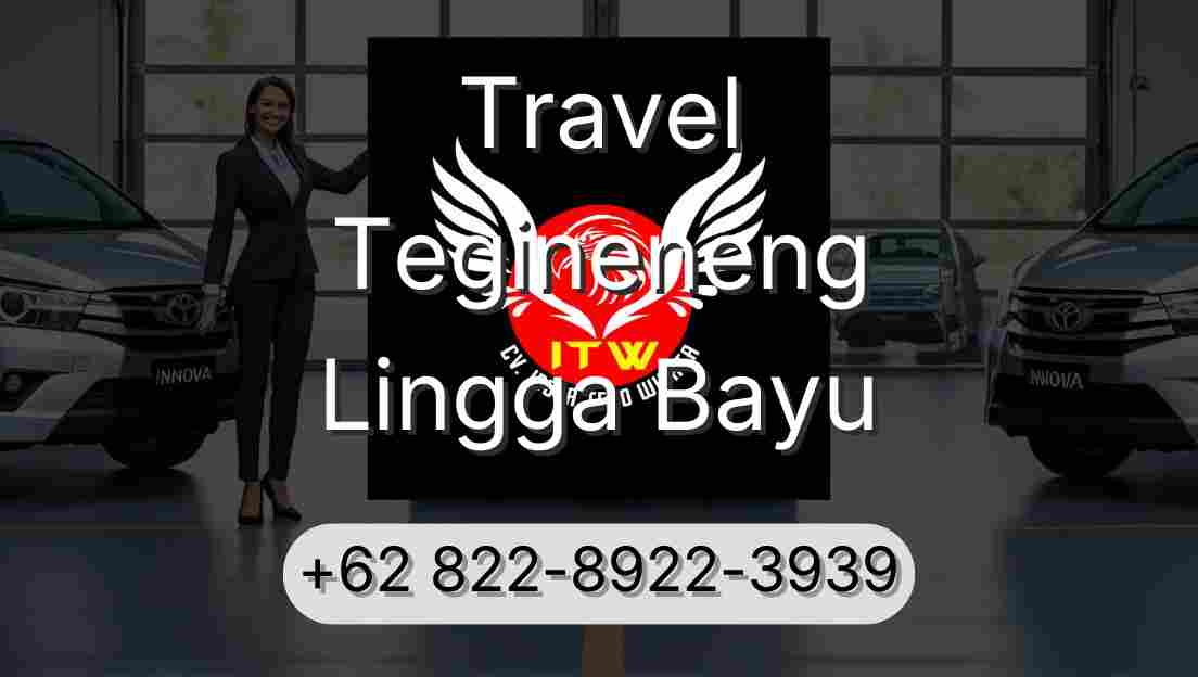 Travel Tegineneng Lingga Bayu
