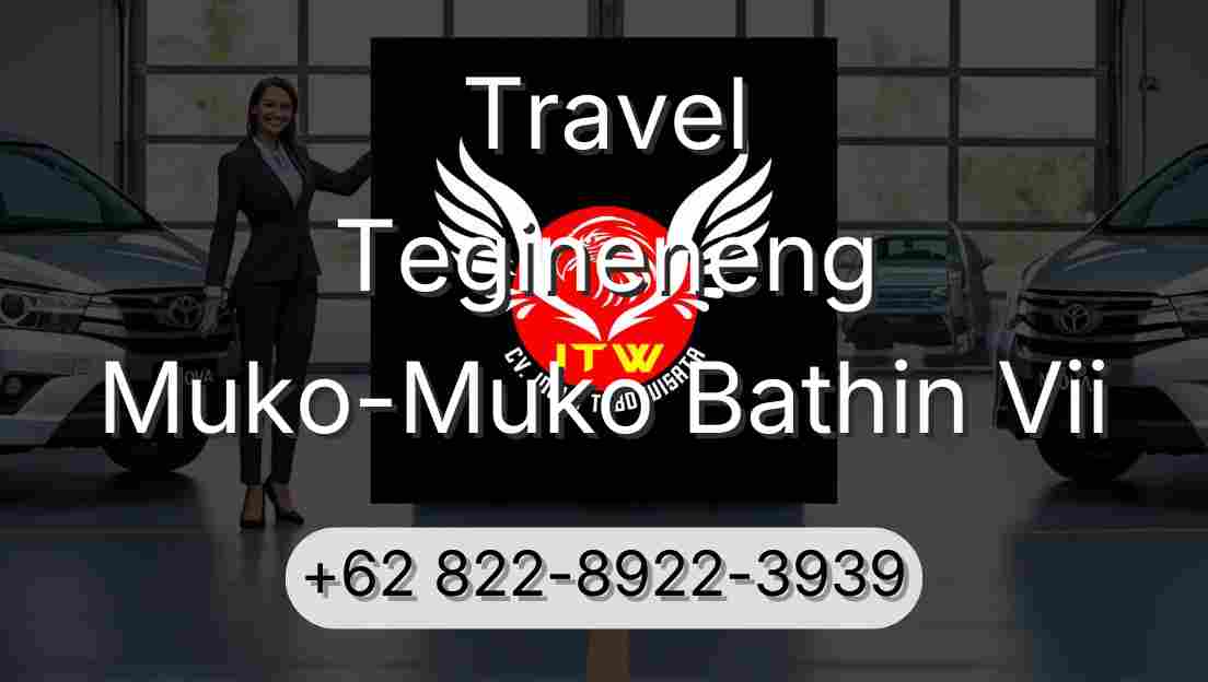 Travel Tegineneng Muko-Muko Bathin Vii