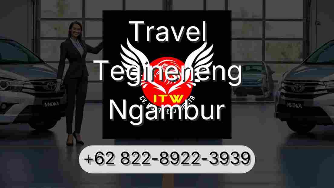 Travel Tegineneng Ngambur