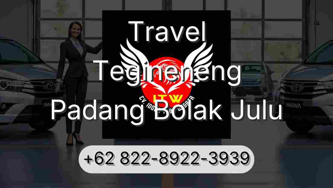 Travel Tegineneng Padang Bolak Julu
