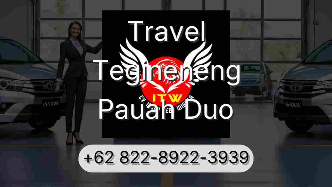 Travel Tegineneng Pauah Duo
