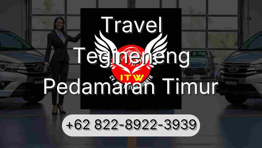 Travel Tegineneng Pedamaran Timur