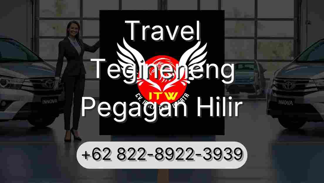 Travel Tegineneng Pegagan Hilir