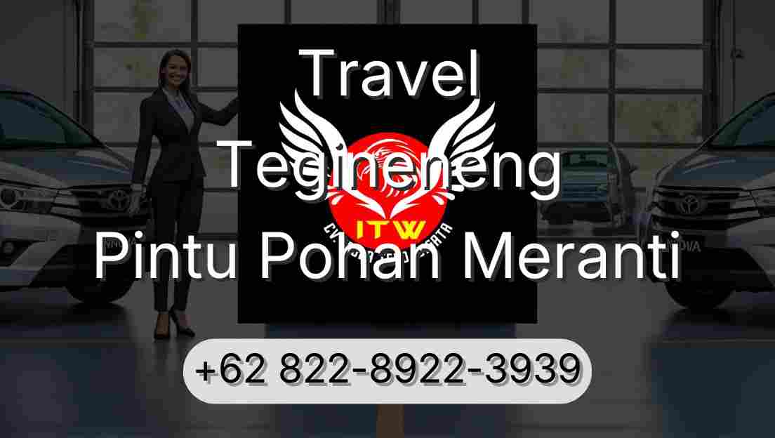 Travel Tegineneng Pintu Pohan Meranti