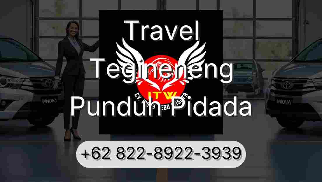 Travel Tegineneng Punduh Pidada