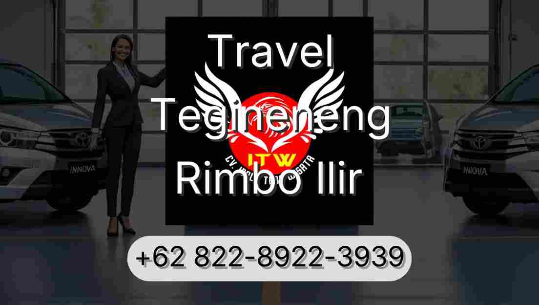 Travel Tegineneng Rimbo Ilir