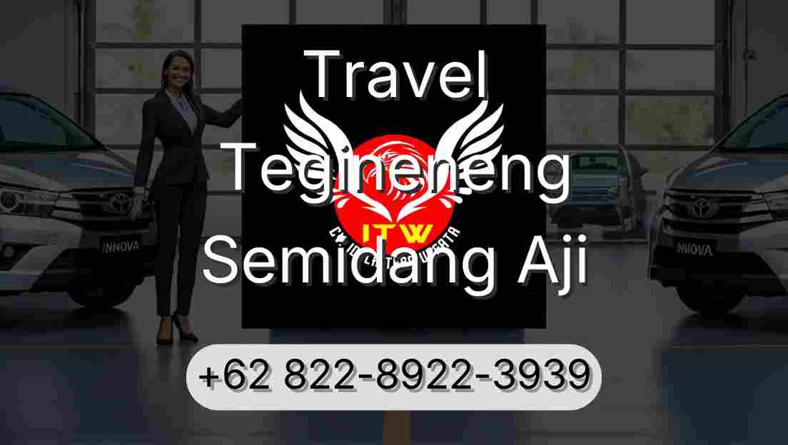 Travel Tegineneng Semidang Aji