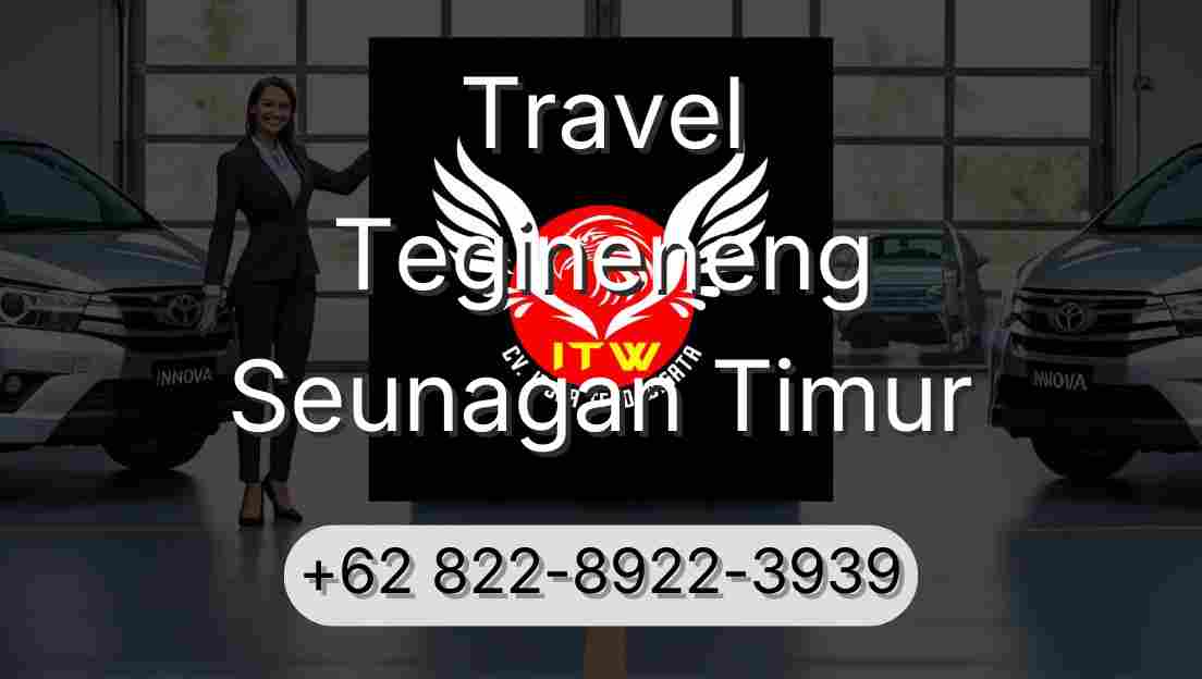 Travel Tegineneng Seunagan Timur