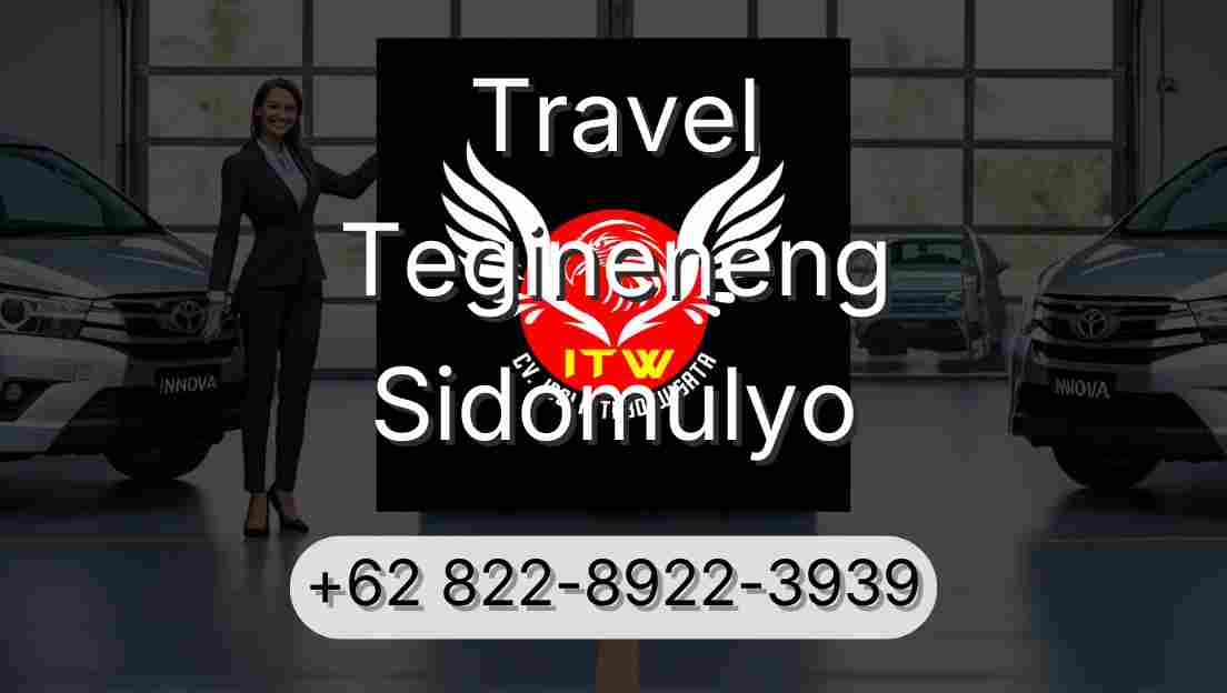 Travel Tegineneng Sidomulyo