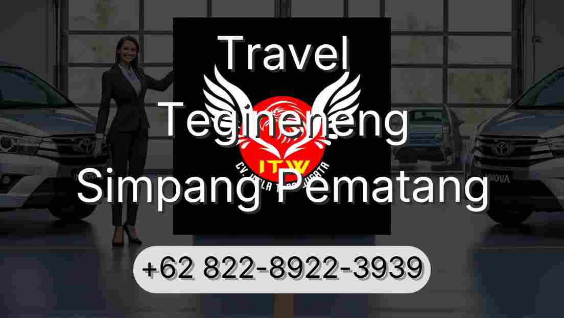 Travel Tegineneng Simpang Pematang