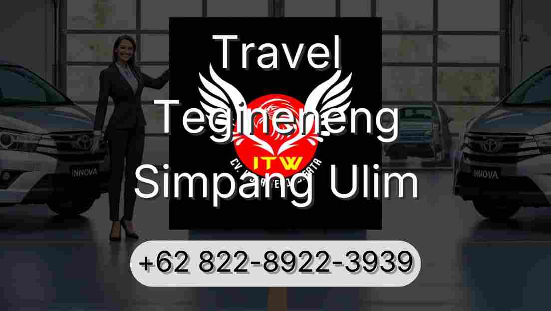 Travel Tegineneng Simpang Ulim
