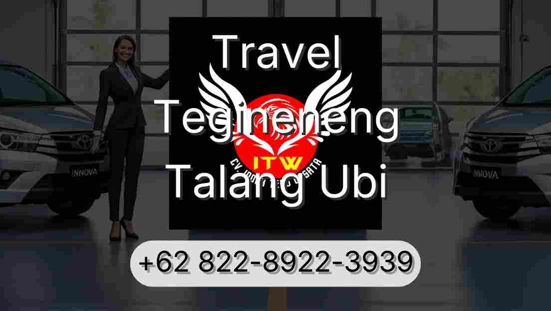 Travel Tegineneng Talang Ubi