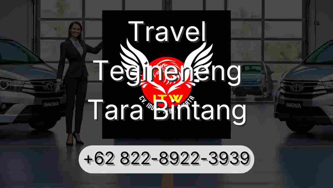 Travel Tegineneng Tara Bintang