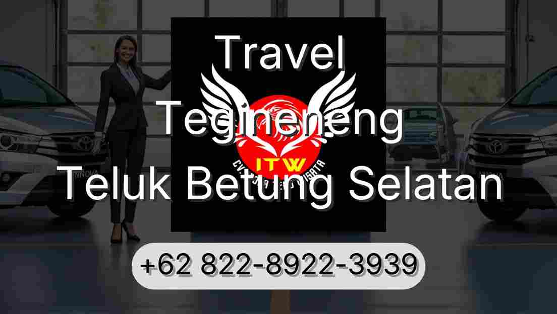Travel Tegineneng Teluk Betung Selatan