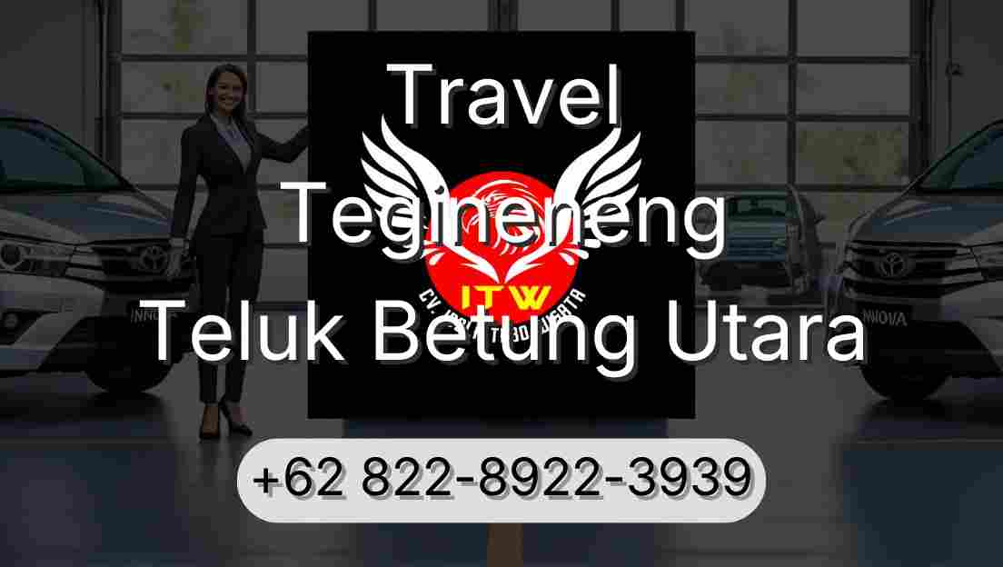 Travel Tegineneng Teluk Betung Utara