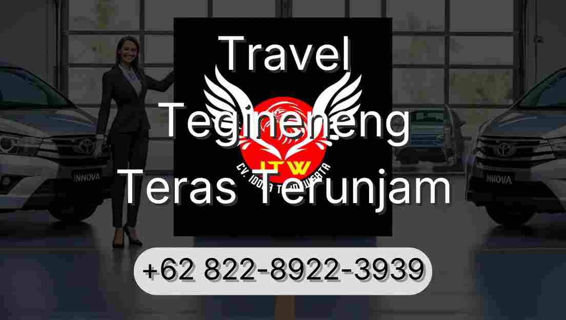 Travel Tegineneng Teras Terunjam