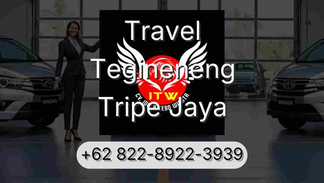 Travel Tegineneng Tripe Jaya