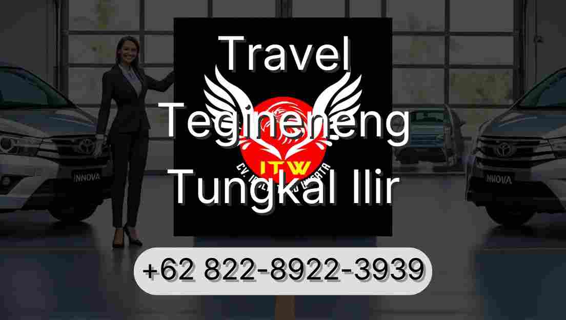 Travel Tegineneng Tungkal Ilir