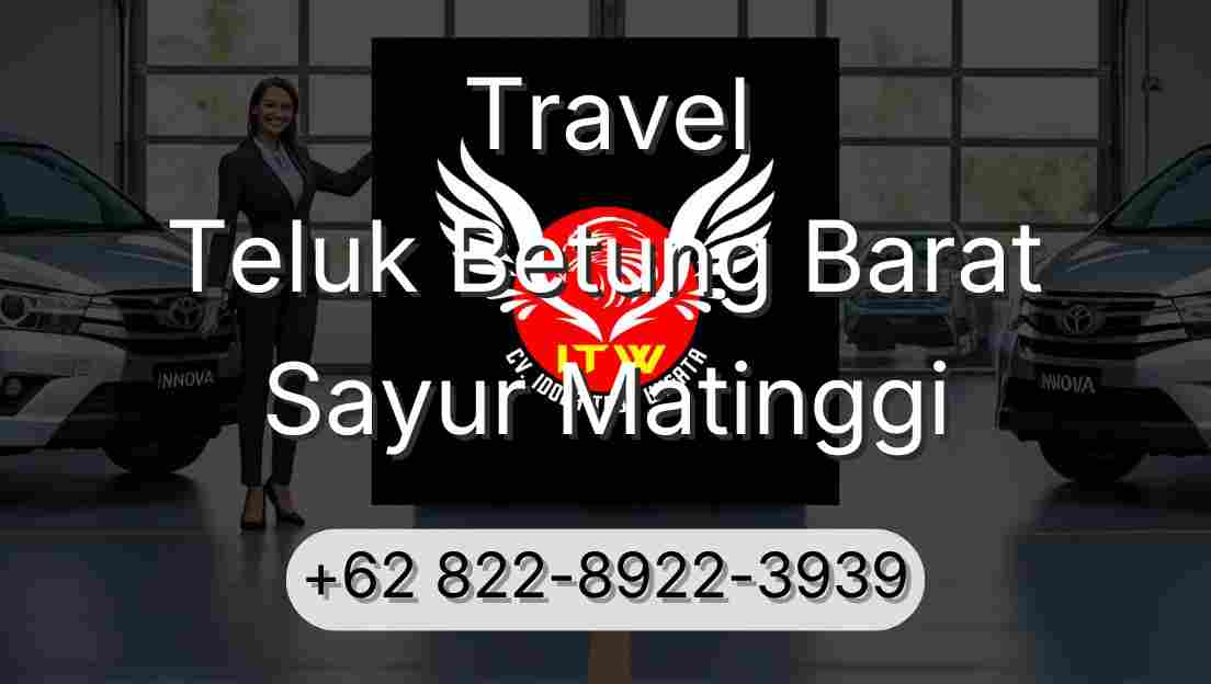 Travel Teluk Betung Barat Sayur Matinggi